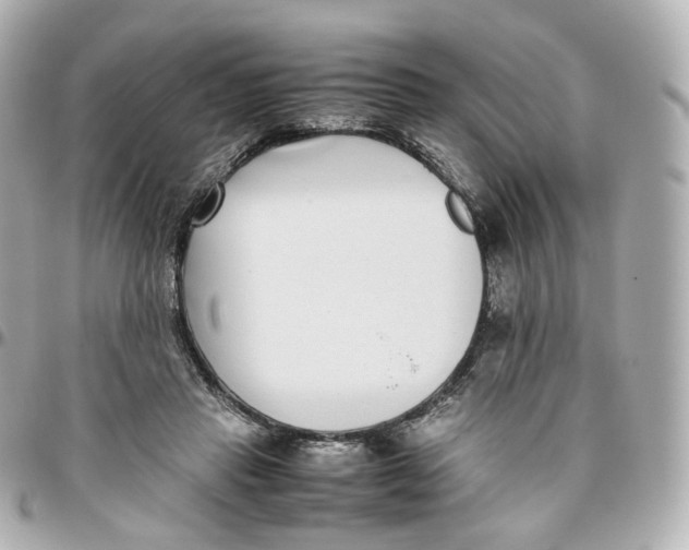 X0000095910453200802011154