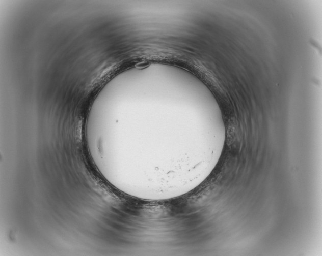 X0000095910454200802011154