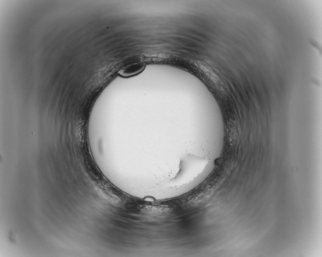 X0000095910455200802011154