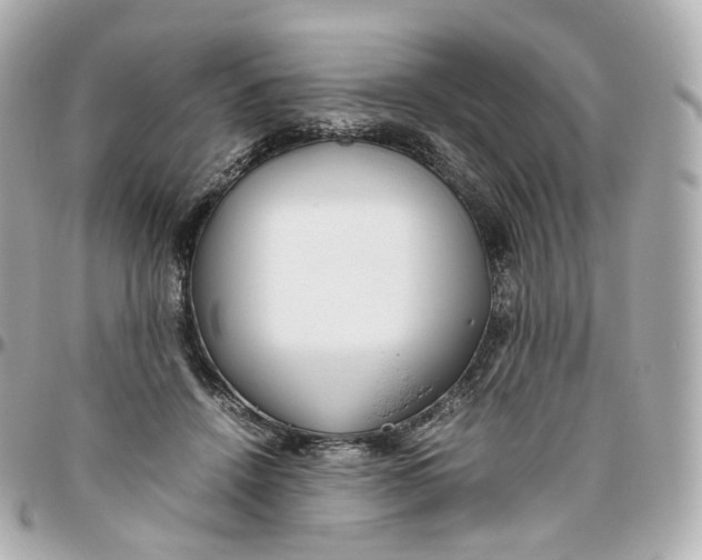 X0000095910456200802011154