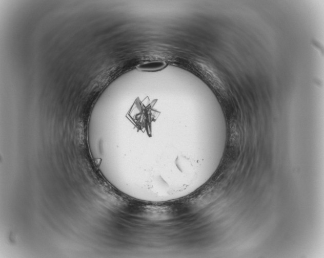 X0000095910457200802011154