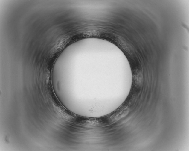 X0000095910458200802011154