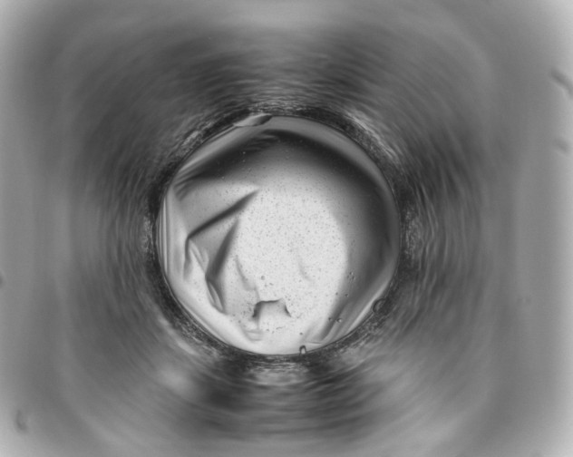 X0000095910459200802011154