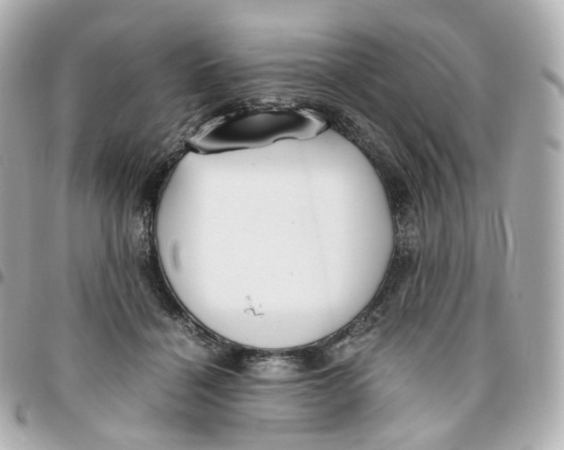 X0000095910460200802011154