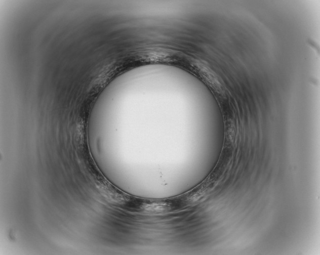 X0000095910461200802011154