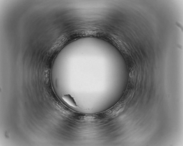 X0000095910462200802011154