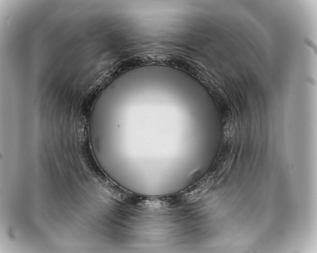 X0000095910464200802011154