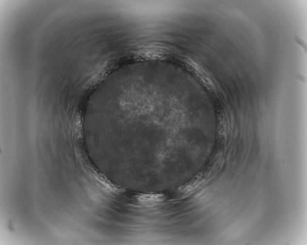 X0000095910465200802011154