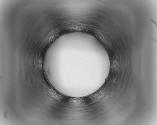 X0000095910466200802011154