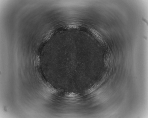 X0000095910467200802011154