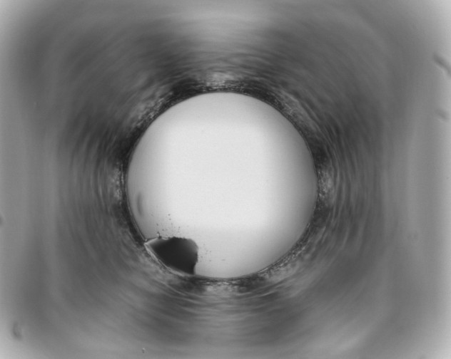 X0000095910470200802011154