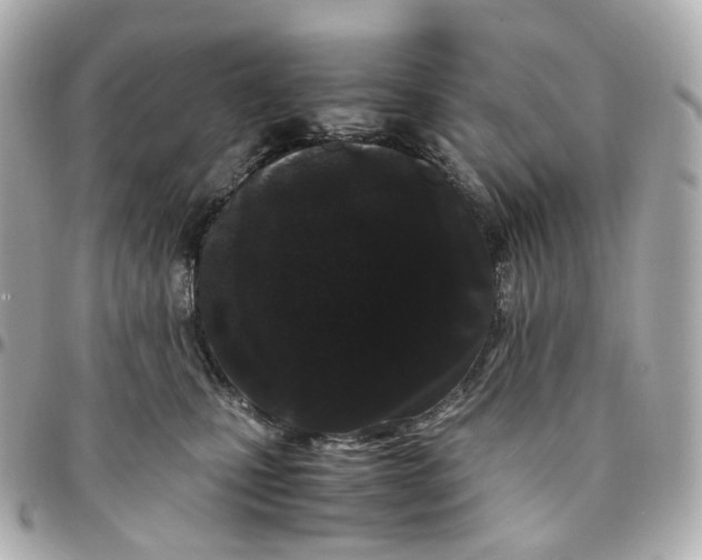 X0000095910471200802011154