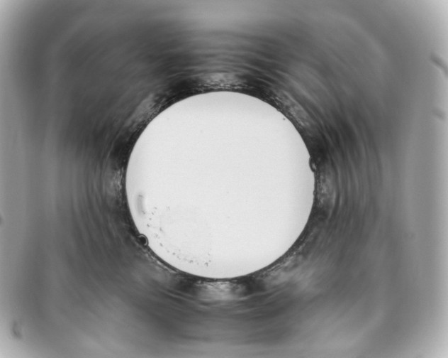 X0000095910473200802011154