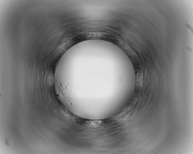 X0000095910474200802011154