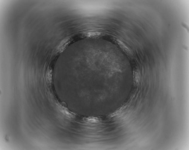 X0000095910475200802011154