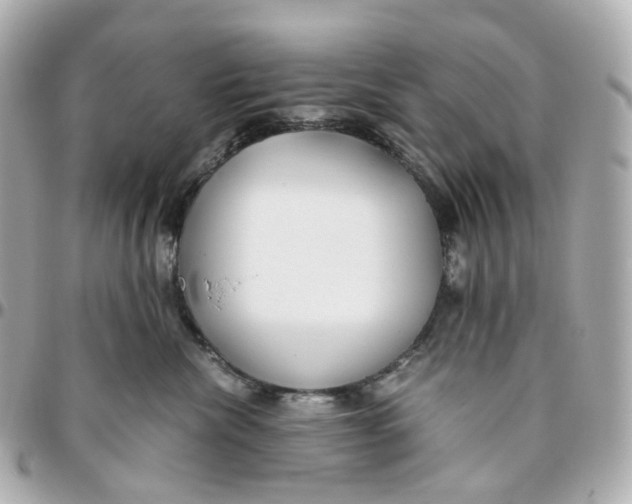 X0000095910476200802011154