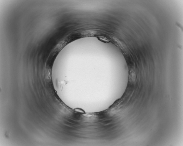 X0000095910477200802011154