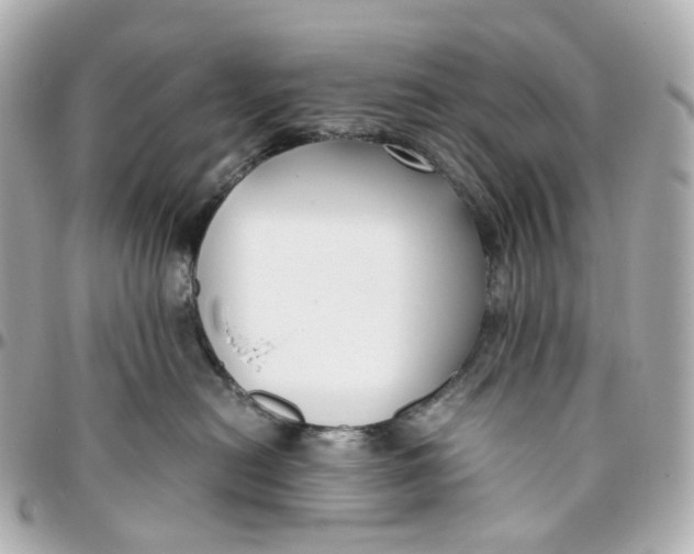 X0000095910478200802011154