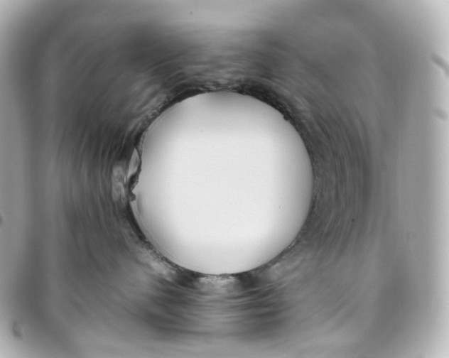 X0000095910480200802011155