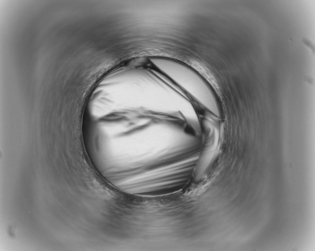 X0000095910481200802011154