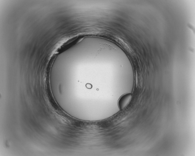 X0000095910483200802011154