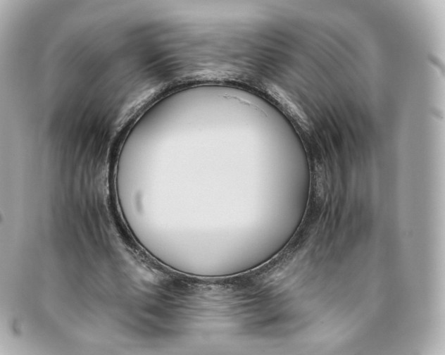 X0000095910486200802011154