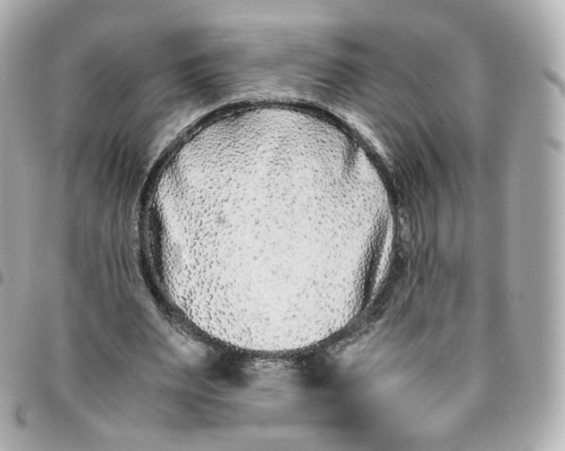 X0000095910487200802011154