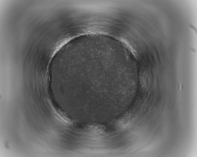 X0000095910488200802011154