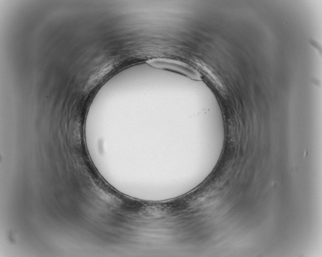 X0000095910489200802011154