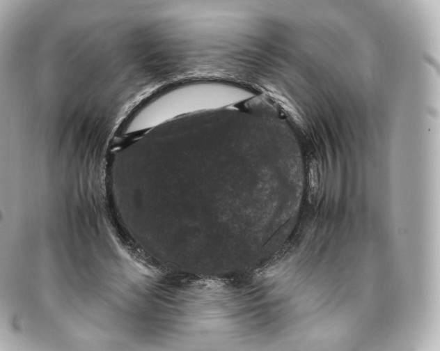 X0000095910492200802011154