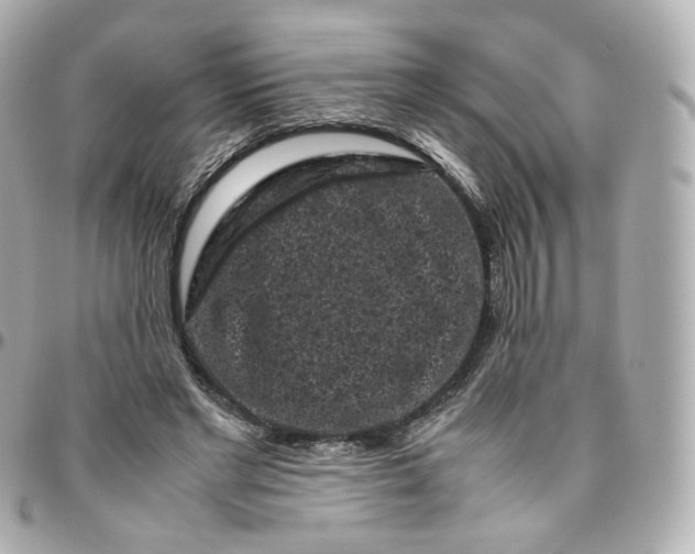 X0000095910493200802011154