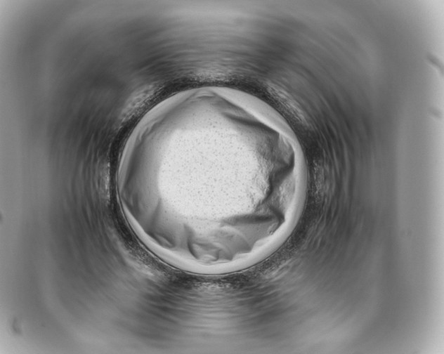 X0000095910494200802011154