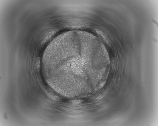 X0000095910495200802011154