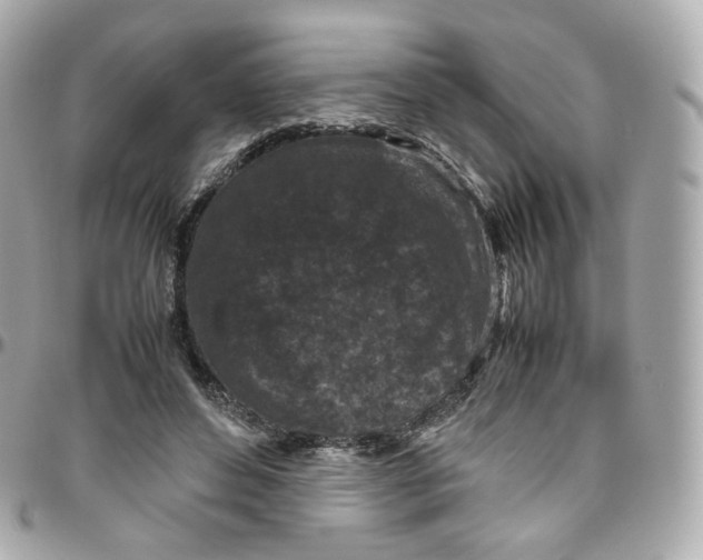 X0000095910496200802011154