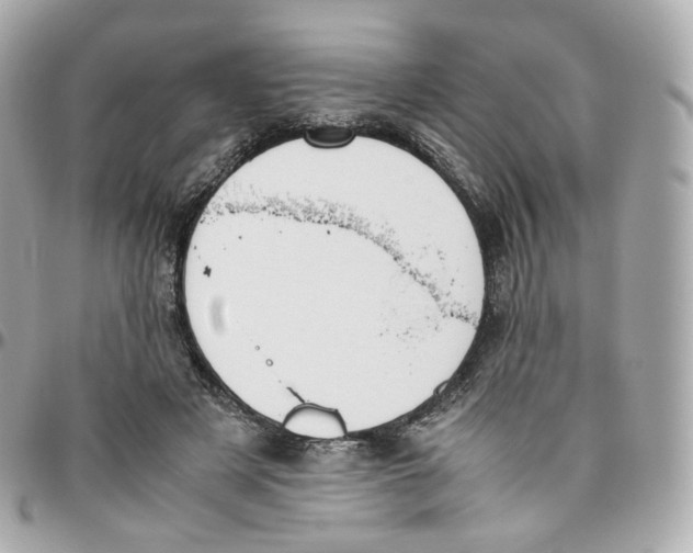 X0000095910497200802011154