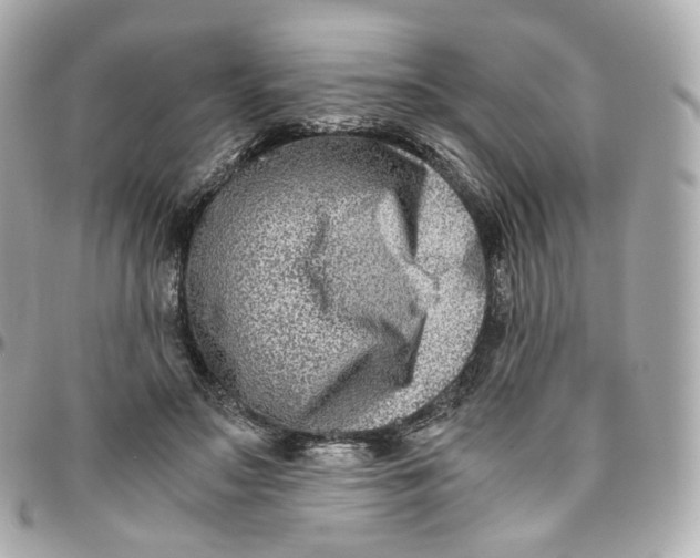 X0000095910499200802011154