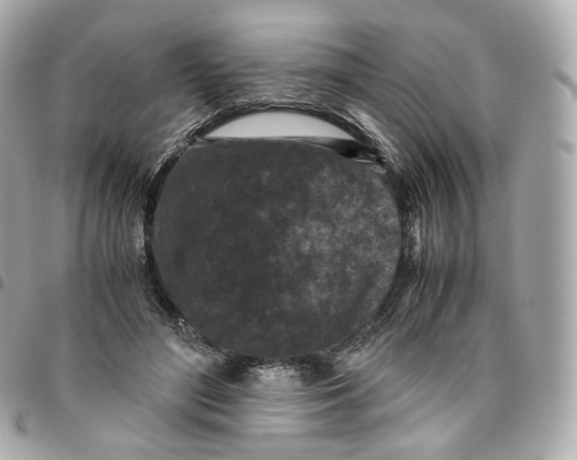 X0000095910500200802011154