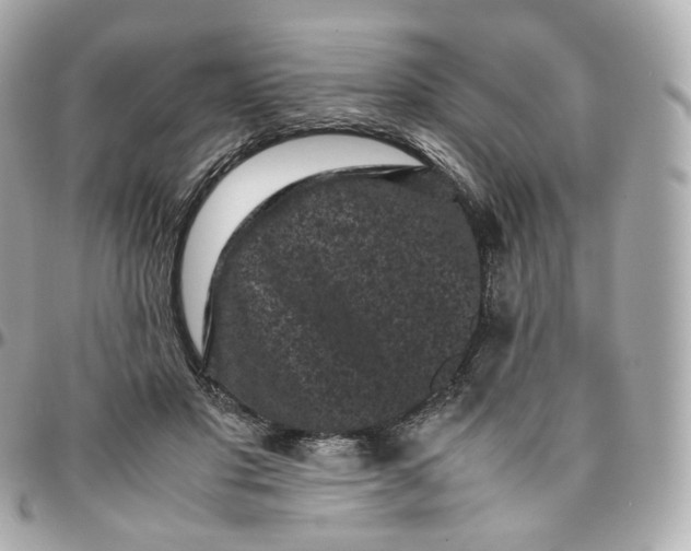 X0000095910501200802011154