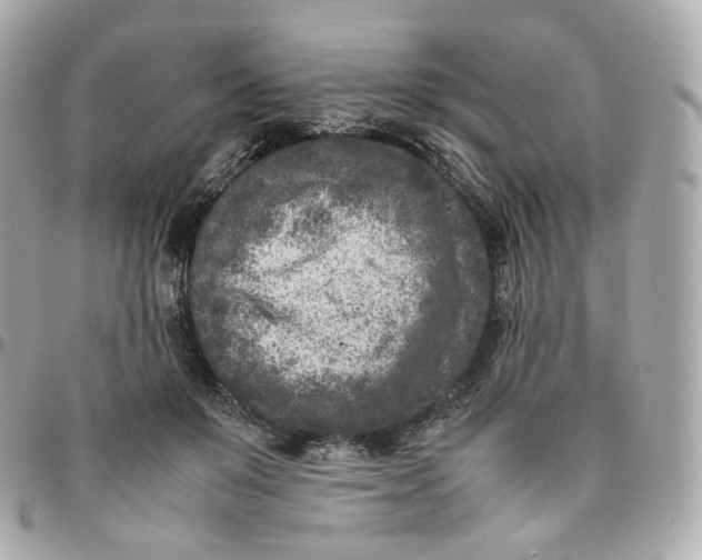 X0000095910503200802011154