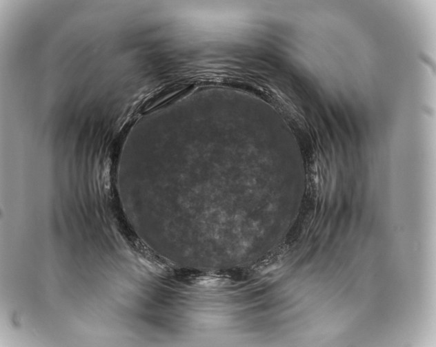 X0000095910504200802011154