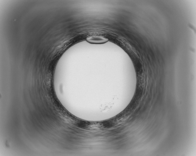 X0000095910505200802011154