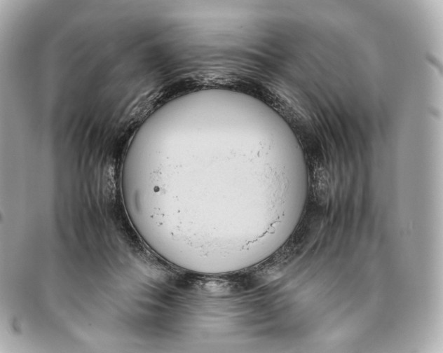 X0000095910506200802011154