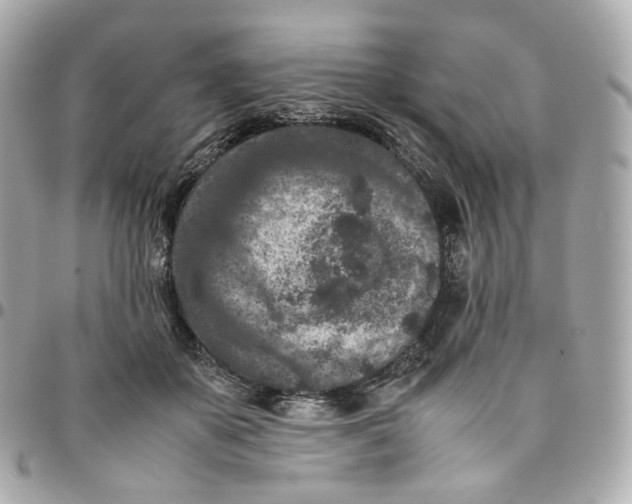 X0000095910507200802011154