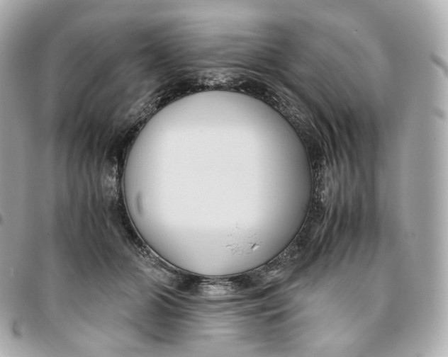 X0000095910510200802011153