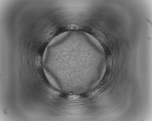 X0000095910511200802011153