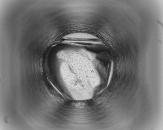 X0000095910512200802011153