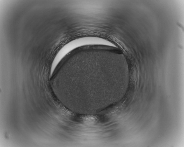 X0000095910513200802011153