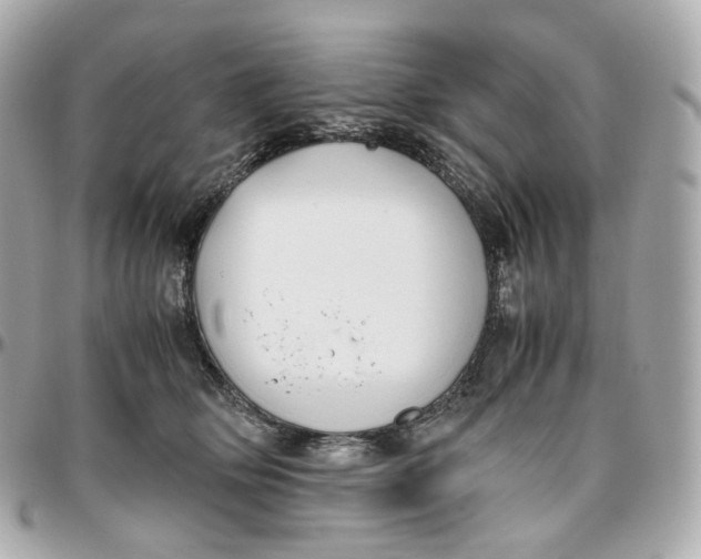 X0000095910514200802011153