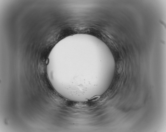 X0000095910515200802011153