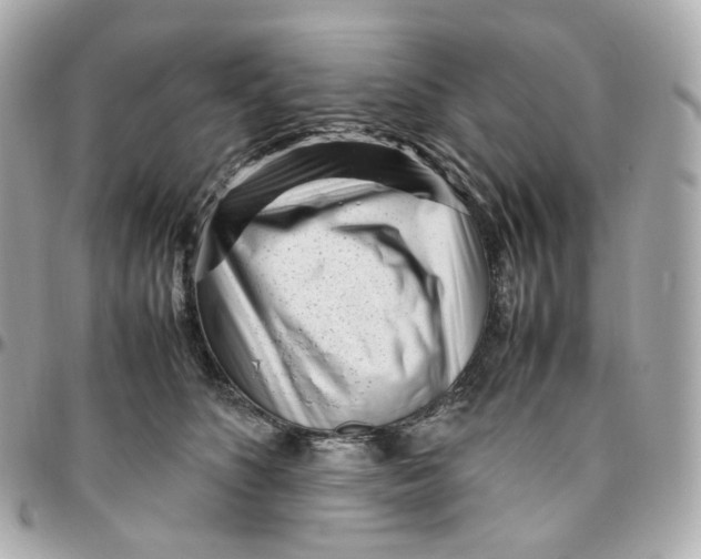 X0000095910516200802011153